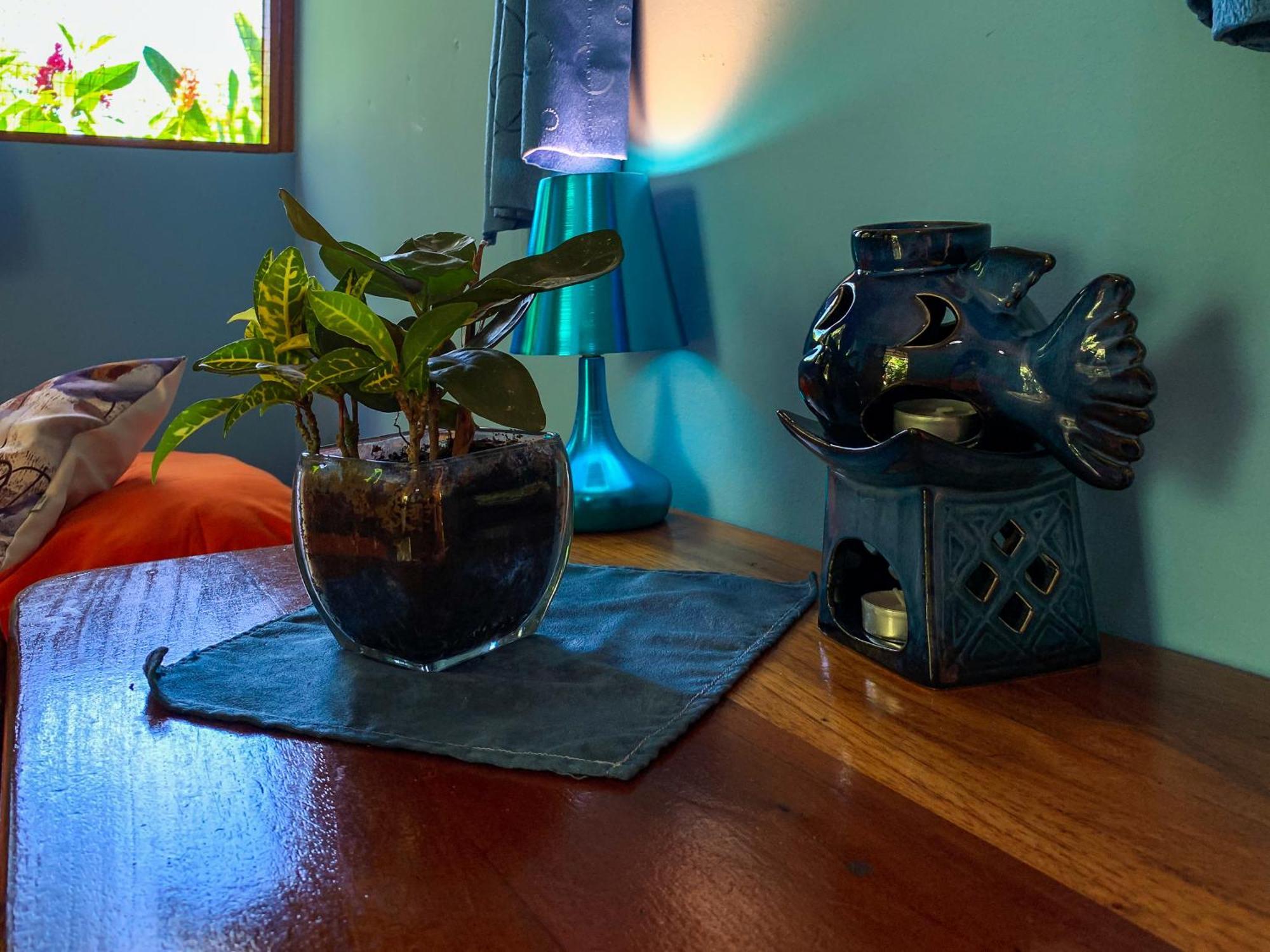 Las Caletas Lodge Drakes Bay 部屋 写真