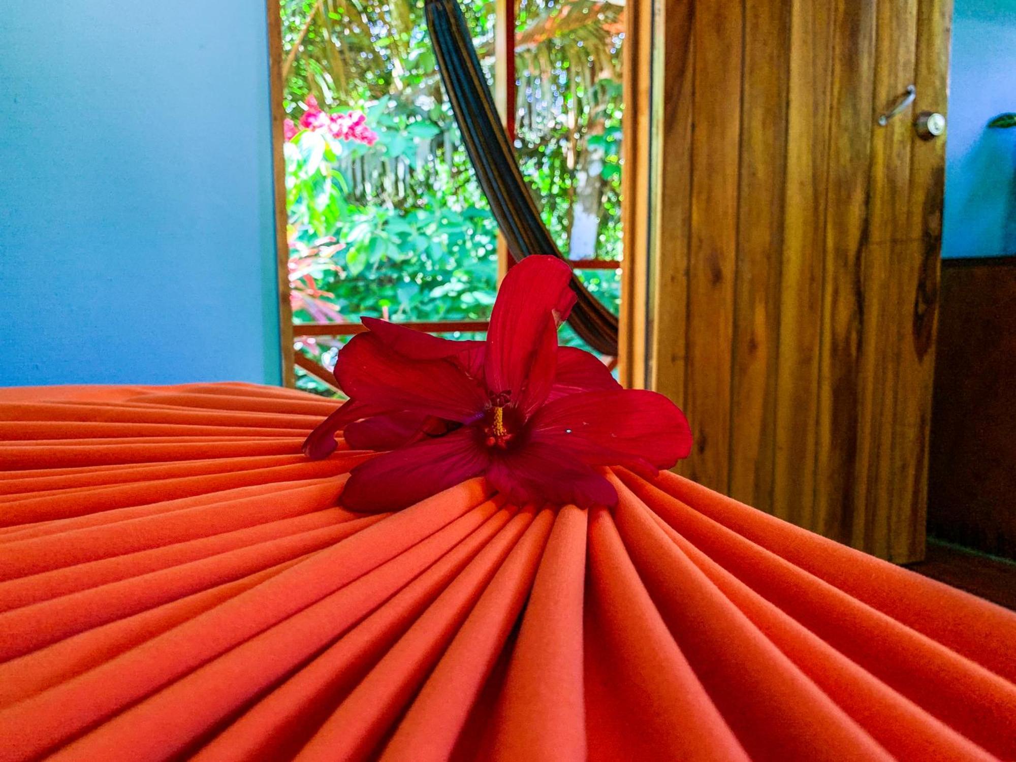 Las Caletas Lodge Drakes Bay 部屋 写真